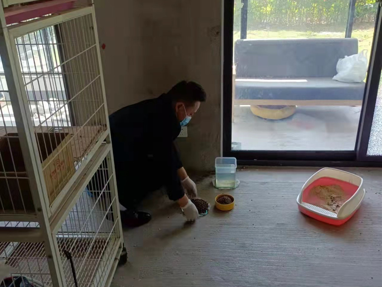 1649510267719749.jpg 349cf1732b83eb2d5b929f5ab4b95808.jpg